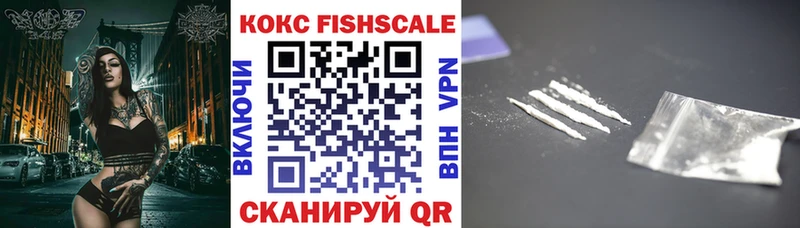 Купить где  Щёлкино  COCAIN Fish Scale 