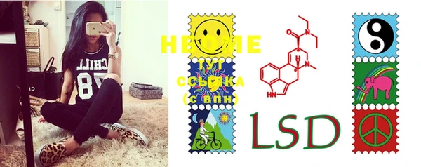 сатива Строитель