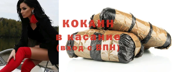 сатива Строитель