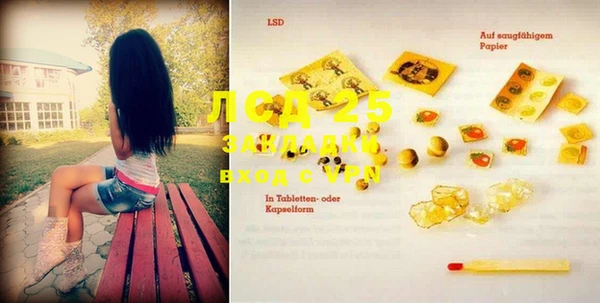 сатива Строитель