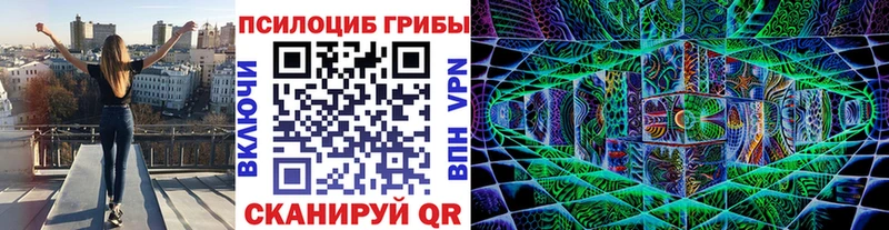 Псилоцибиновые грибы Psilocybe  Купить где  Щёлкино 